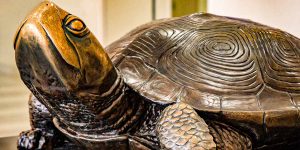 A statue of a terrapin, the University of Maryland mascot.